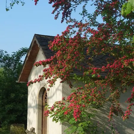 Meisenthaler Mühle Apartment Kelberg
